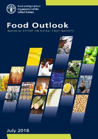 Food outlook: biannual report on global food markets